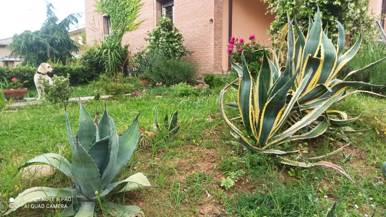 Willa Casa Vincenzo 130 Mq Con Portico Ed Ingresso Esclusivo Dal Giardino Felino Zewnętrze zdjęcie