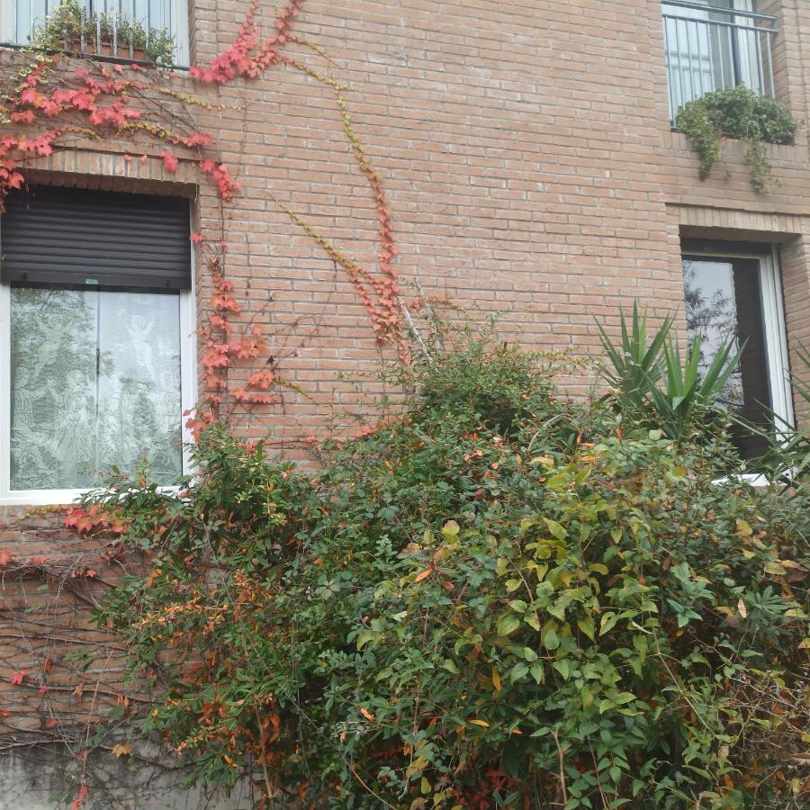 Willa Casa Vincenzo 130 Mq Con Portico Ed Ingresso Esclusivo Dal Giardino Felino Zewnętrze zdjęcie