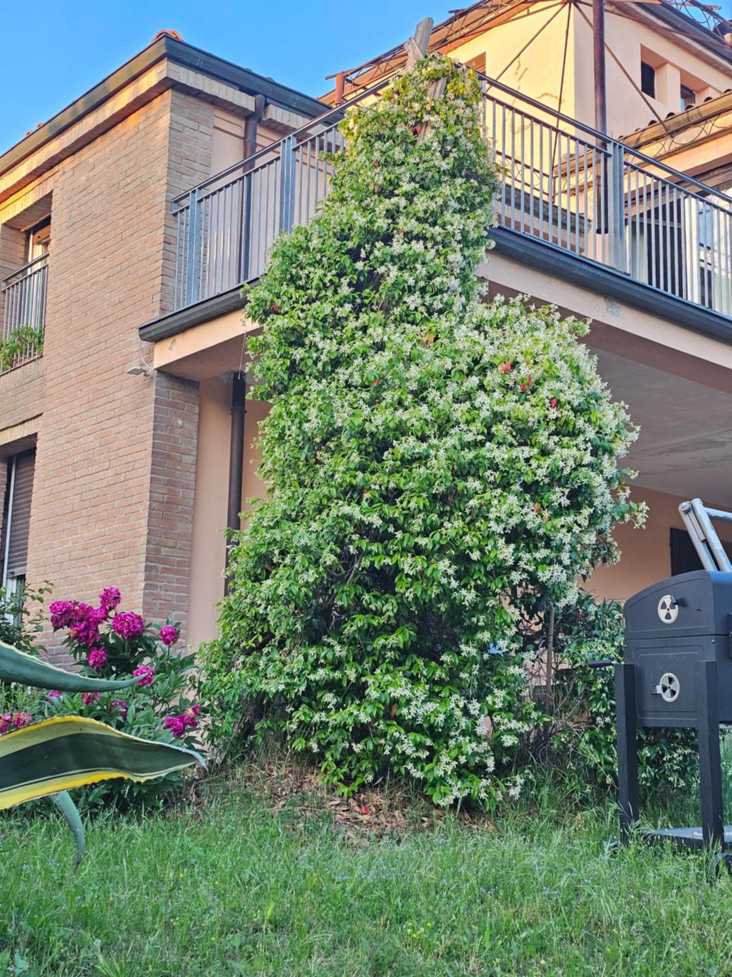 Willa Casa Vincenzo 130 Mq Con Portico Ed Ingresso Esclusivo Dal Giardino Felino Zewnętrze zdjęcie