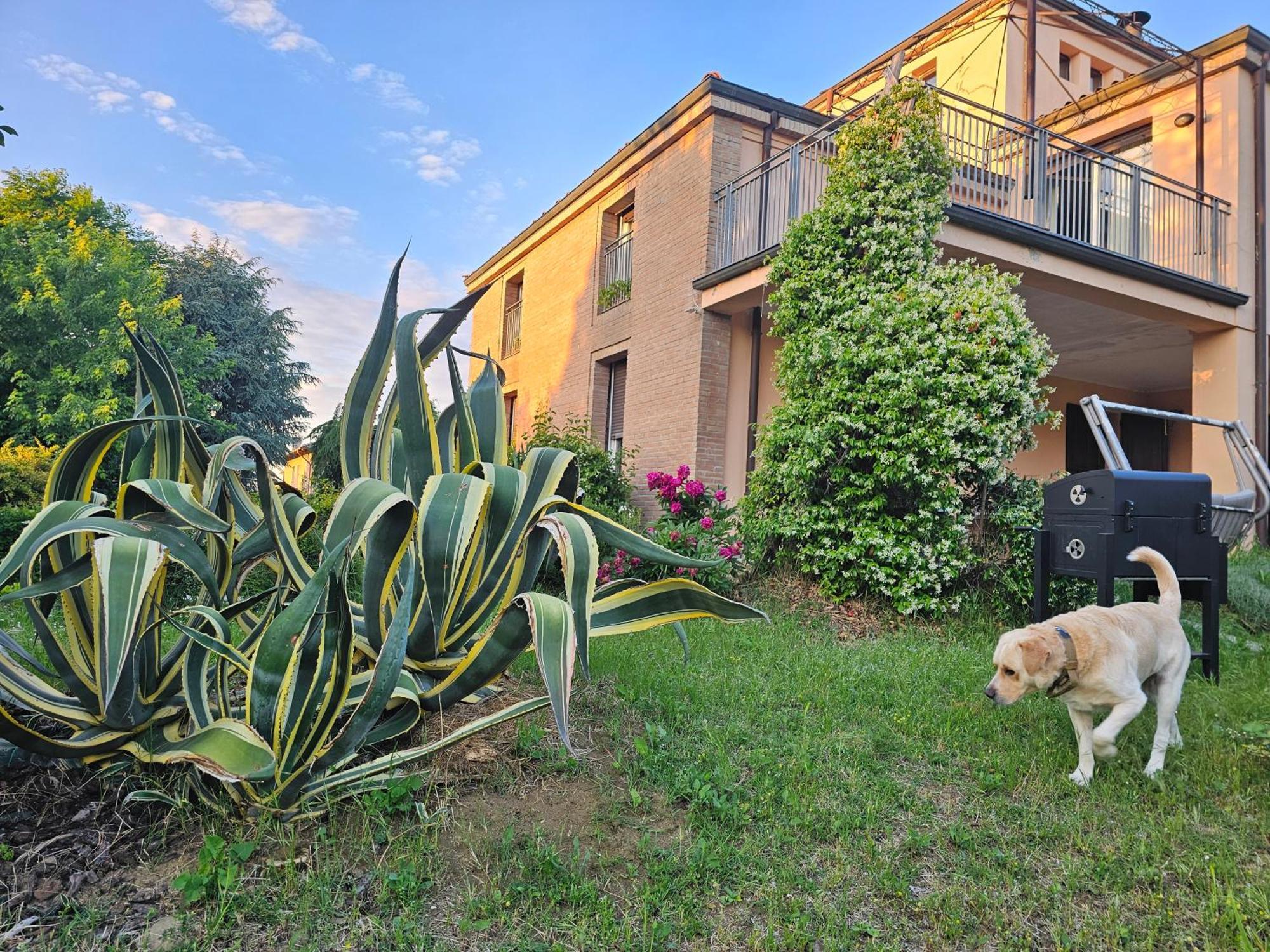Willa Casa Vincenzo 130 Mq Con Portico Ed Ingresso Esclusivo Dal Giardino Felino Zewnętrze zdjęcie